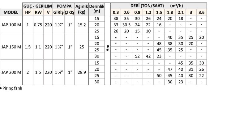CONFORTO JAP 100 M 1 HP ENJEKTÖRLÜ POMPA