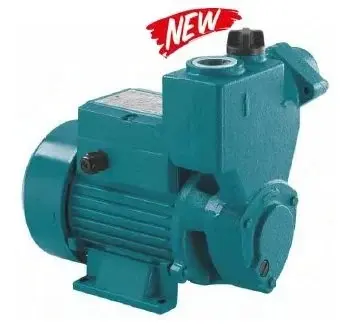 Momentum PKSm37 0.50Hp 220V Kendinden Emişli Sürtme Fanlı Pompa