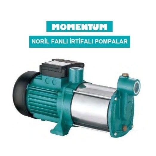 Momentum HMC-5SC 1.25HP 220V yatay milli kademeli santrifüj pompa