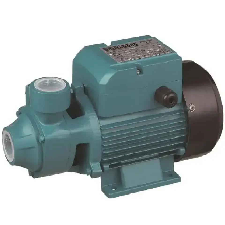 Momentum PKM70 0.75 HP sürtme fanlı preferikal pompa