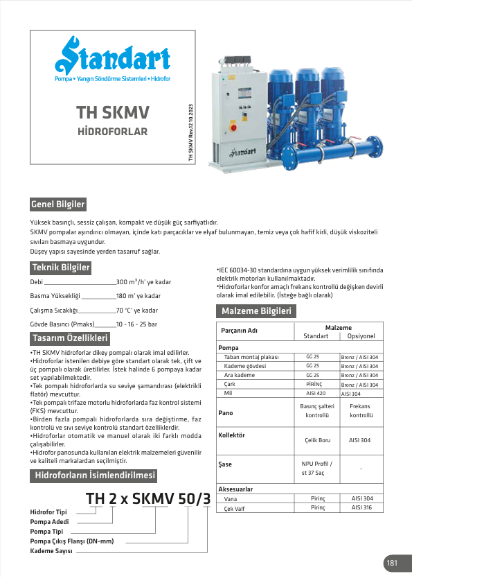 Standart TH SKMV Döküm Gövdeli Tam Otomatik Paket Hidroforlar (FİYAT ALINIZ)
