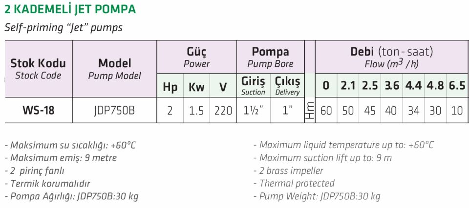 Water Sound JDP750B 2 HP Çift Kademeli Jet Pompa