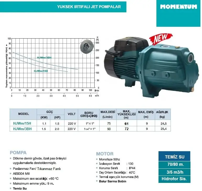 Momentum HJWm/15H 220V 1.5Hp Yüksek İrtifalı Döküm Gövdeli Jet Pompa