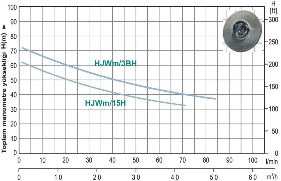 Momentum HJWm/15H 220V 1.5Hp Yüksek İrtifalı Döküm Gövdeli Jet Pompa