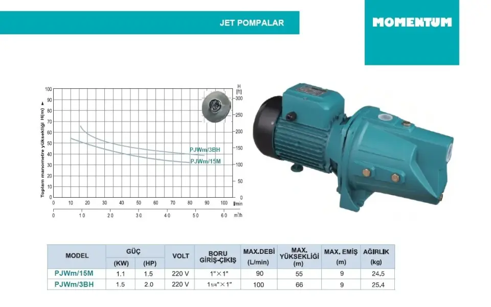 1.5 HP Jet Pompa - Momentum PJWM-15M 220V